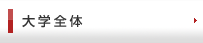 大学全体